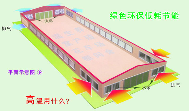 散熱通風解決方案肇慶畜牧養(yǎng)殖豬場