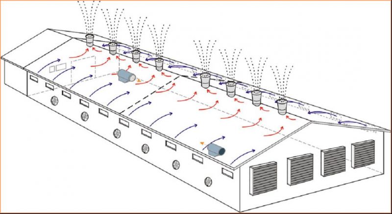通風降溫方法辦法汕頭畜牧養(yǎng)殖豬場